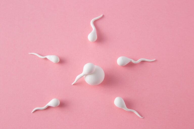 egg donation Cyprus