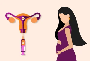 Embryo-Transfer
