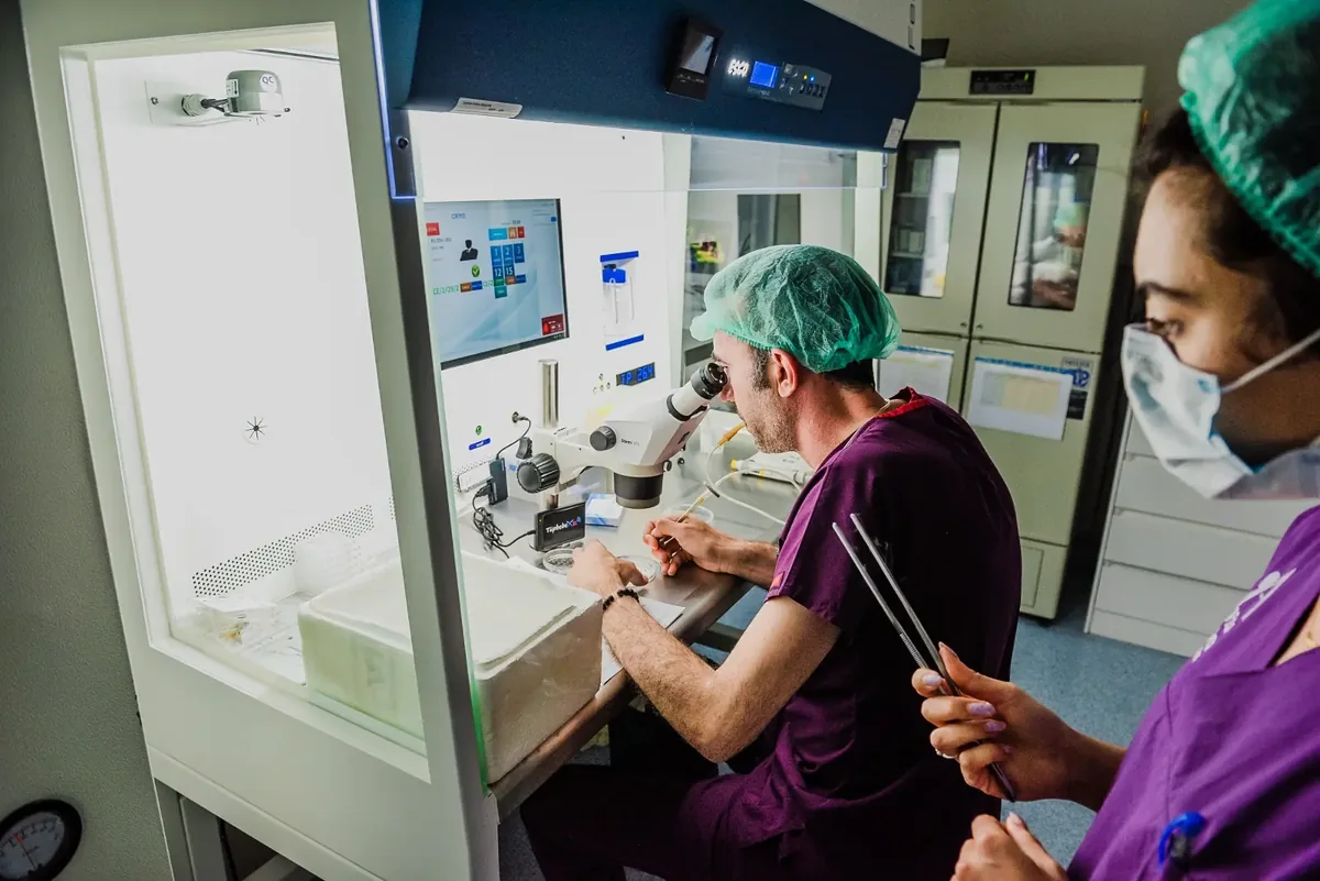 Vita Altera IVF embriyoloji laboratuvarında mikroskop çalışması