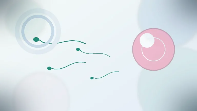sperm sayısı kaç olmalı | Vita Altera IVF