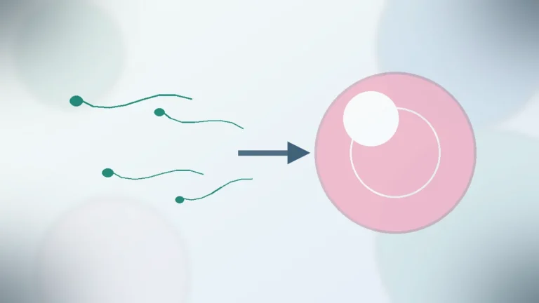 yumurta ve sperm sorunu | Vita Altera IVF
