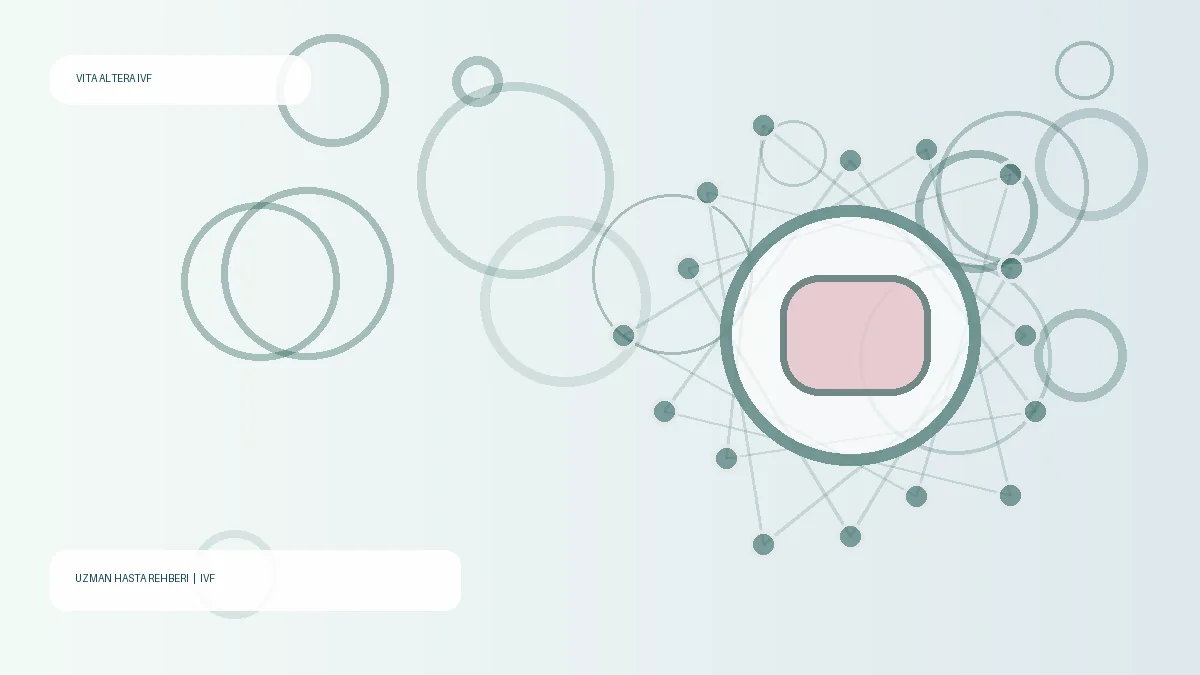 Boş Folikül Sendromu Nedir? Yumurta Toplanamazsa Ne Yapılır? – Vita Altera IVF uzman rehberi
