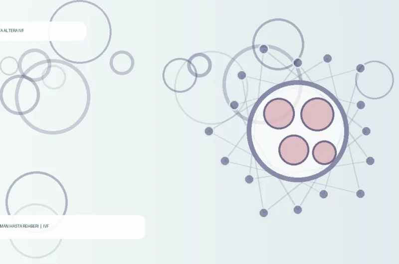 What Do Embryo Grades 3AA, 4AA and 5AA Mean?