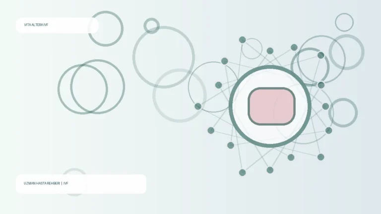 empty follicle syndrom IVF – Vita Altera IVF