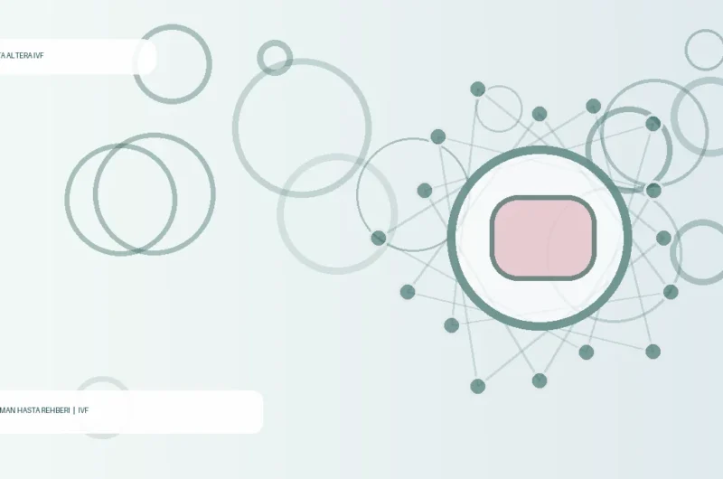 What Is Empty Follicle Syndrome in IVF?