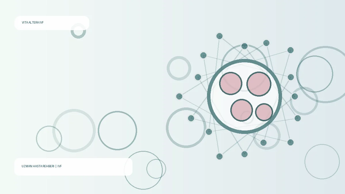pourquoi FIV échoue – Vita Altera IVF