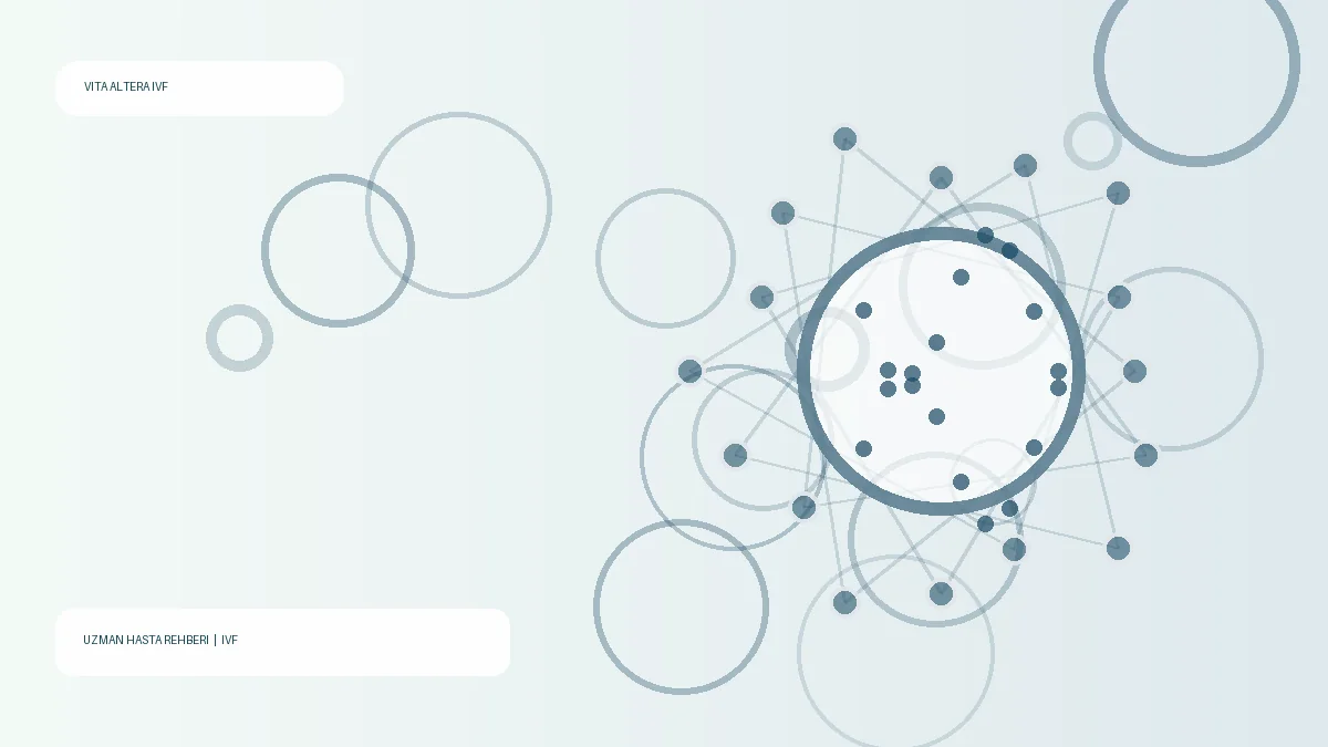 spermien DNA fragmentation – Vita Altera IVF