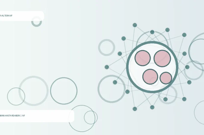 Why Does IVF Fail?